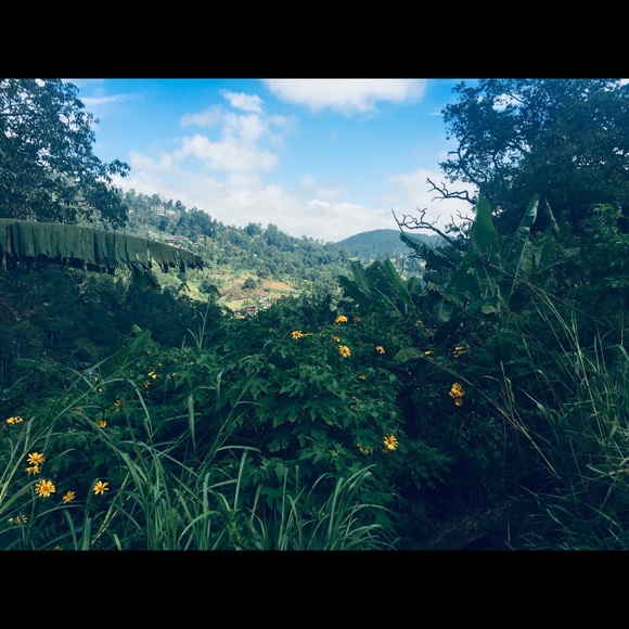 Meet your Posher, Samantha - Picture 1 of 1